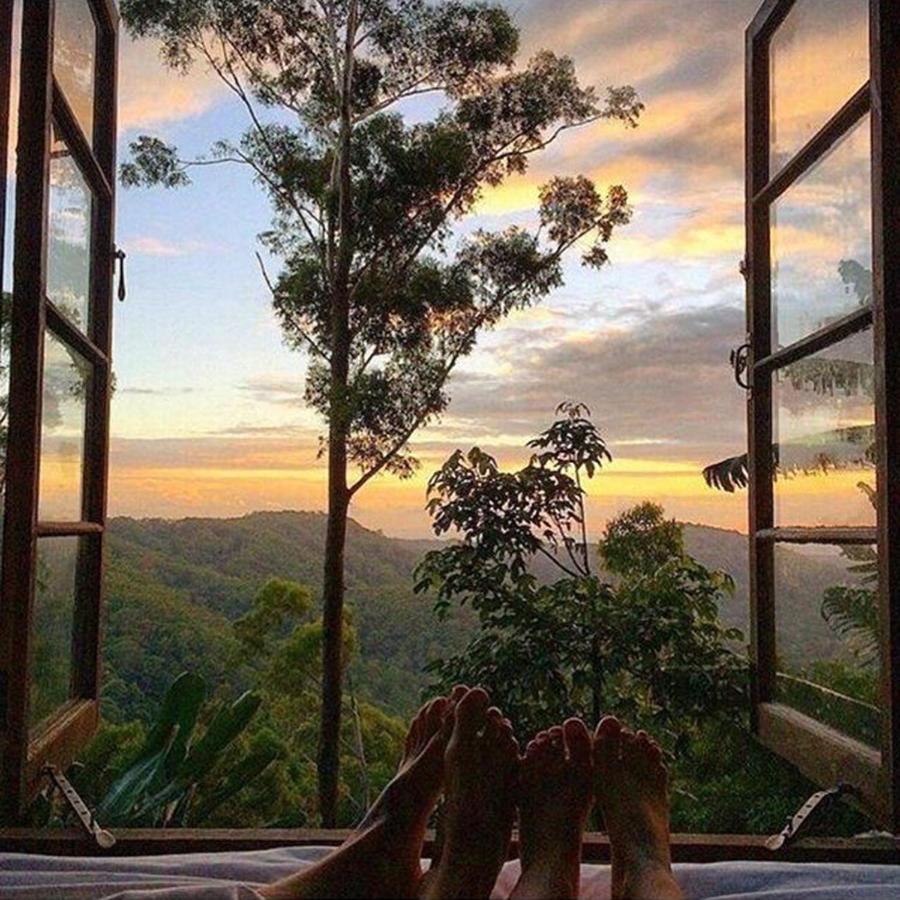 The Den Of The Treehouse, Kinabalu Farm Villa The Pocket Exterior foto